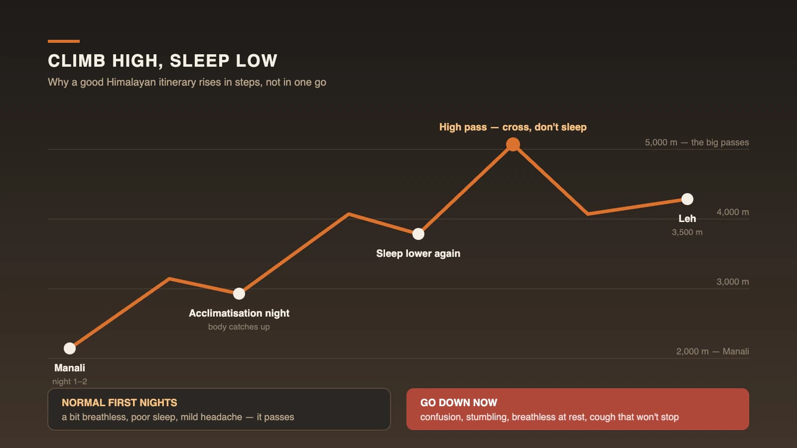 Illustration of a climb-high-sleep-low altitude profile from Manali to Leh, marking acclimatisation nights and the normal versus go-down-now symptoms