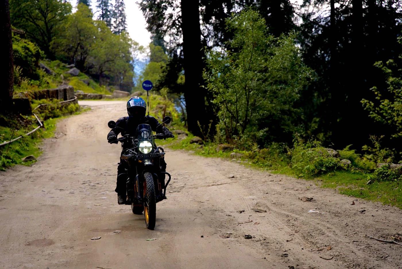 Rider on a Royal Enfield Himalayan 450 on a dirt road through cedar forest above Manali