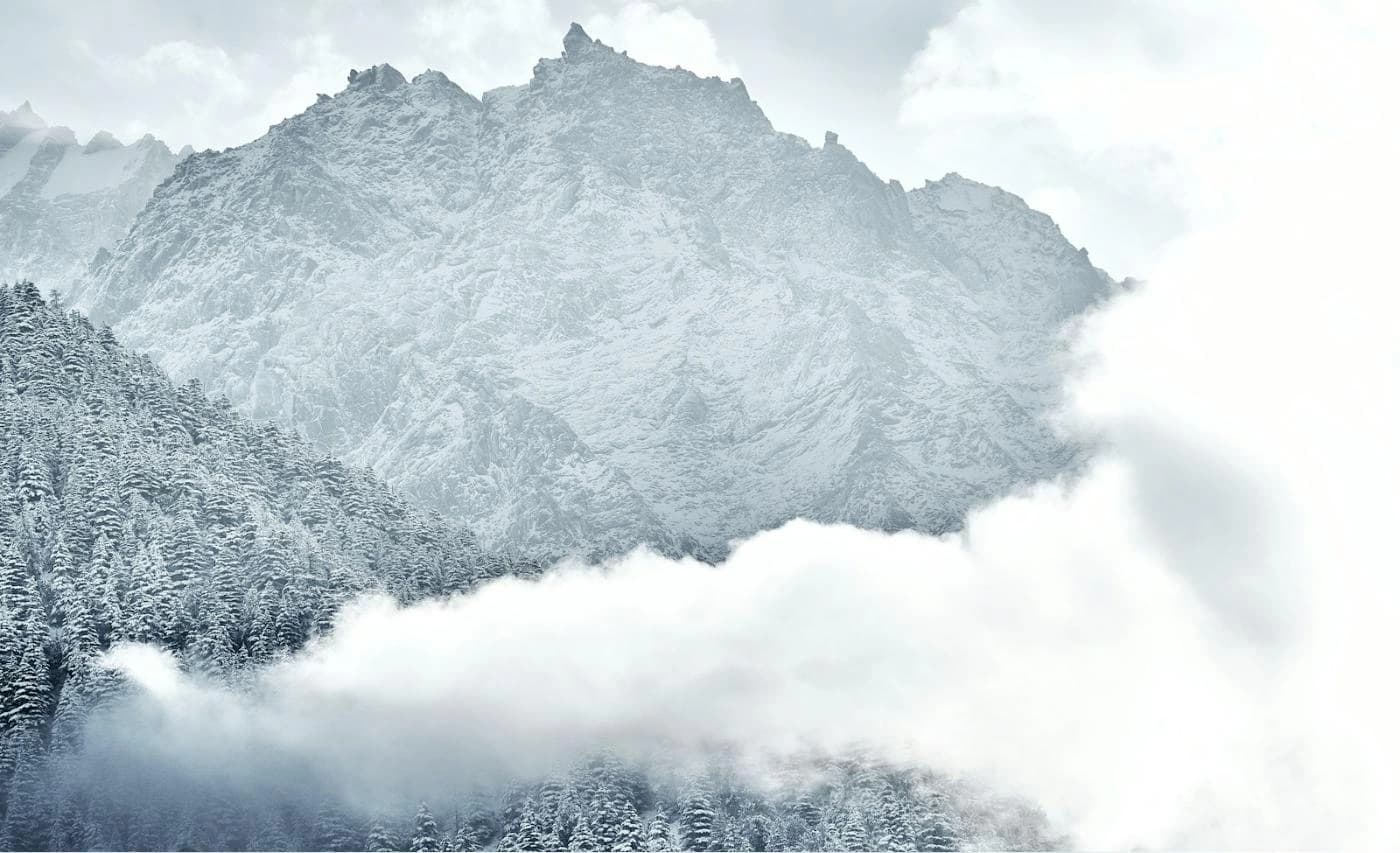 Fresh snow on the peaks and pine forest in Kinnaur in winter