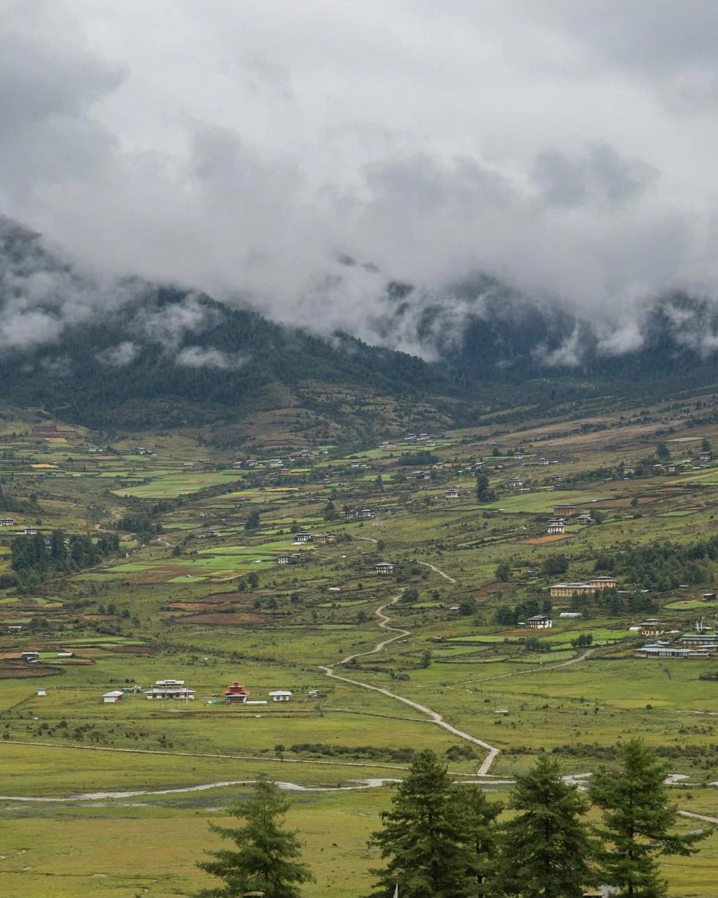 L'ampia conca glaciale della valle di Phobjikha, dimora invernale della gru collonero.