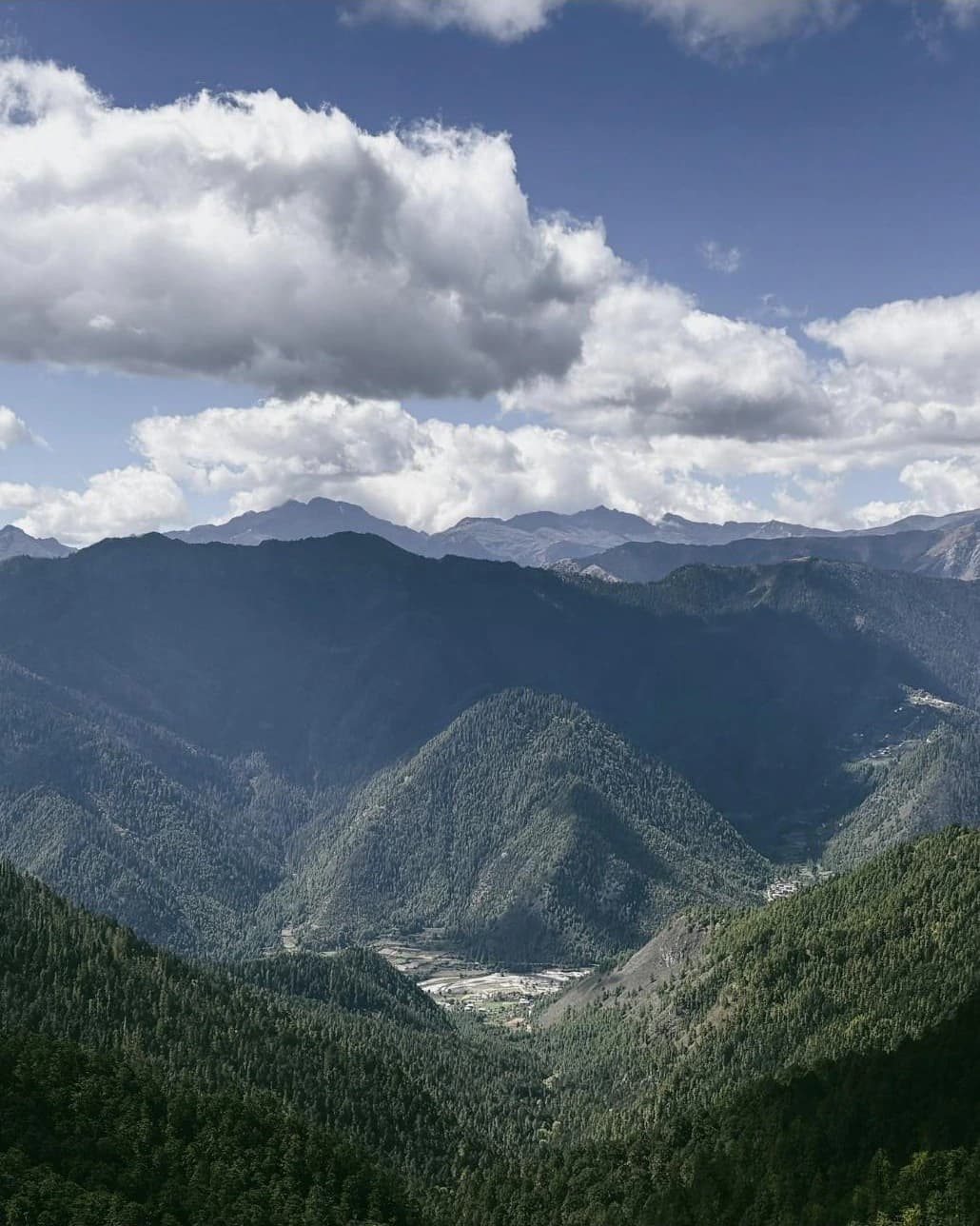 La salita tra i boschi dello Yotong La, tra Trongsa e la valle di Bumthang.