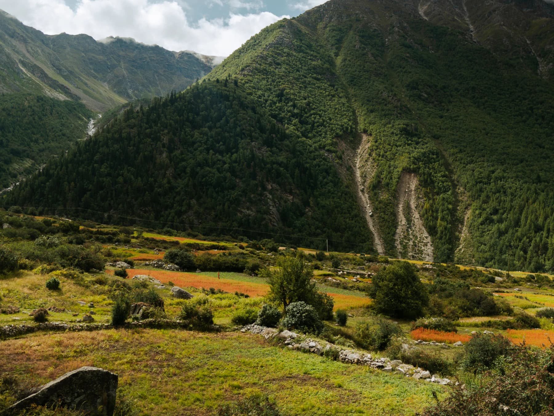 Paesaggio dell'Himalaya