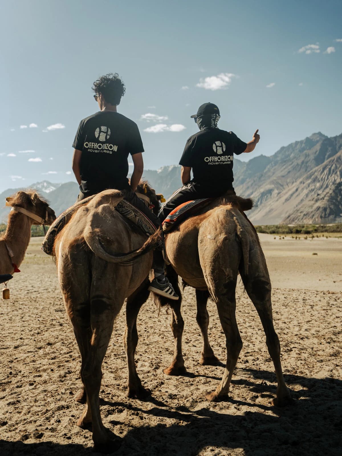Travellers enjoying a traditional Bactrian camel ride in Nubra Valley, Ladakh, surrounded by the dramatic Himalayan mountains. Camel rides through the sand dunes of Nubra Valley are a memorable experience during a Leh Ladakh motorcycle tour.